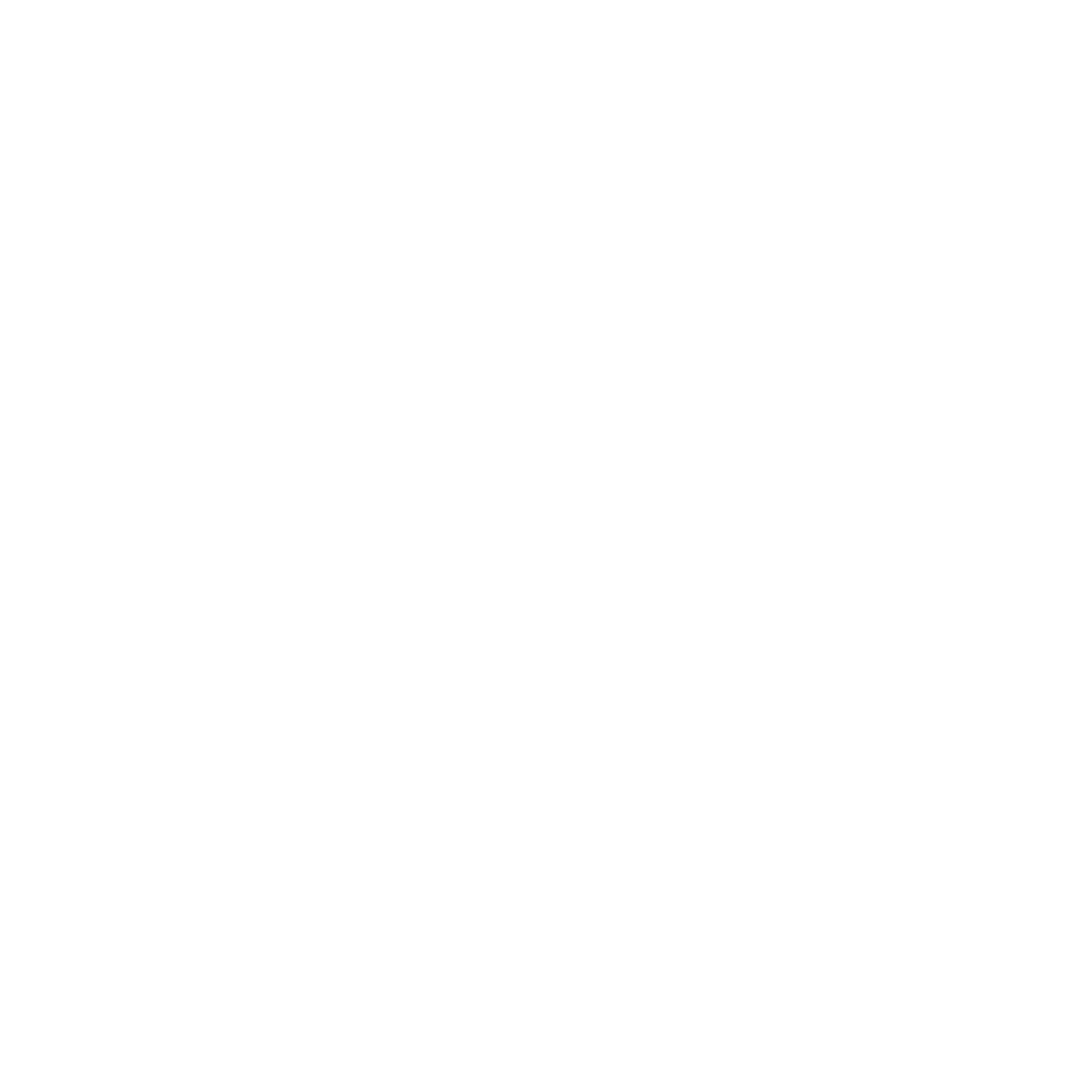 IR5 Logo